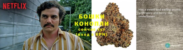 марки nbome Горнозаводск